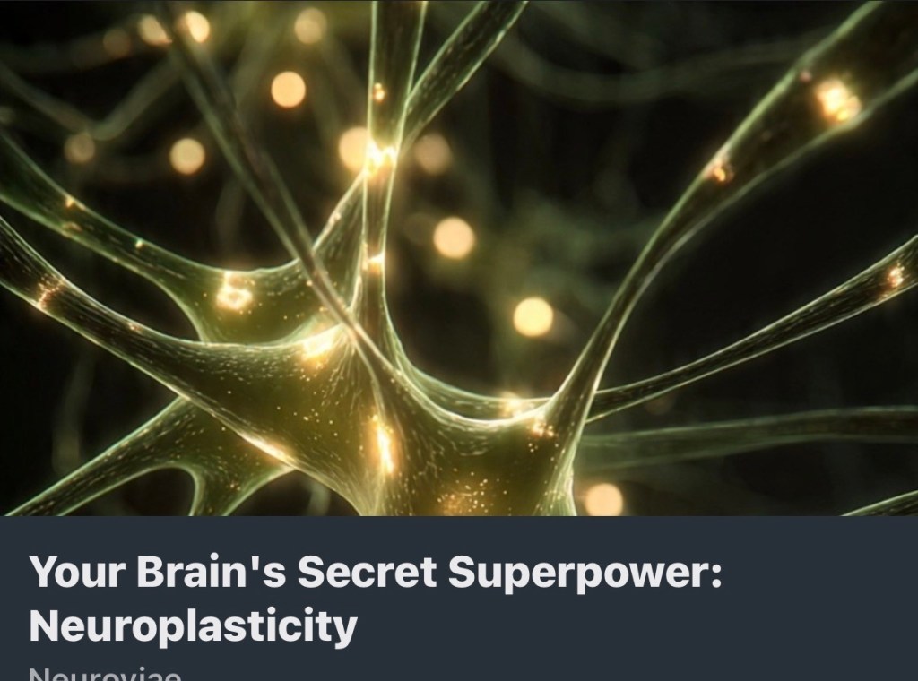 Neuroplasticity – Brain’s Secret Superpower